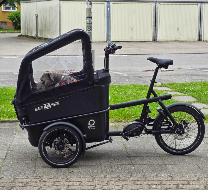 Foto eines E-Fahrrads, das über Bikeleasing die Mitarbeitenden im Beckmann Verlag fit hält