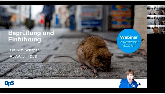 Die Aufzeichnung des Webinars