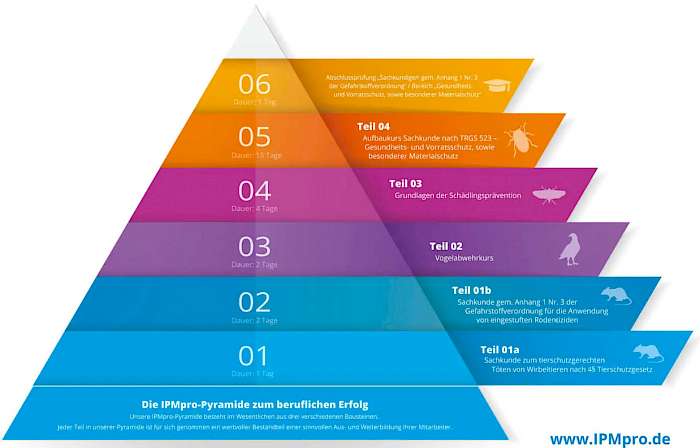 Die IPMpro-Ausbildungspyramide: nicht einfach, aber nützlich. Fragen Sie bitte nach.